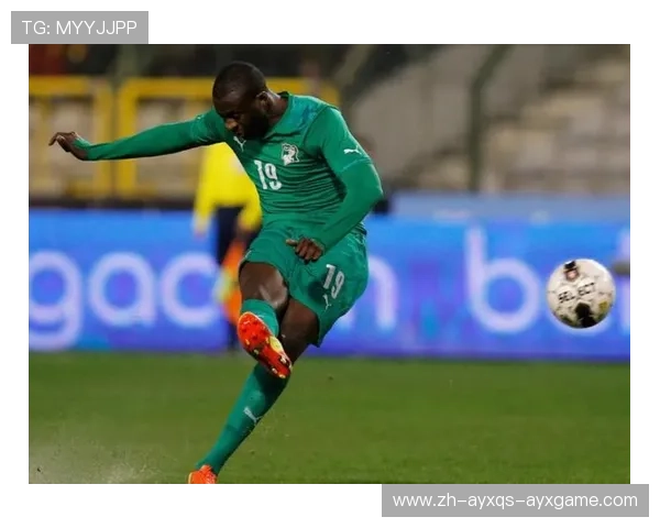 英超最佳球员亚亚图雷的职业生涯亮点及数据回顾