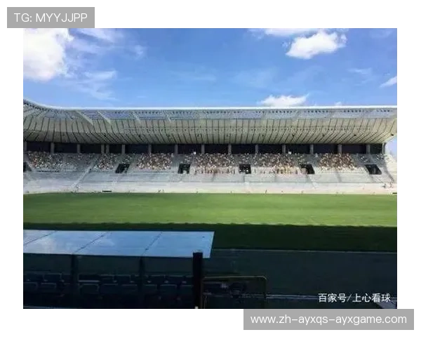 意甲各球队主场球场特色及观赛体验全解析