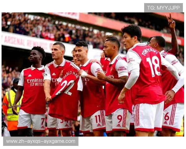 曾经降级的英超球队名单