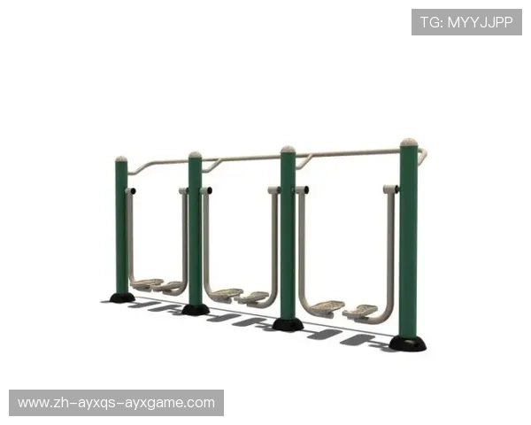 铝制健身器材的优缺点全面解析